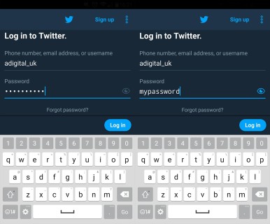 Password toggle