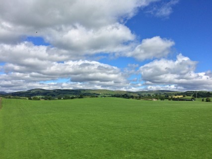 Meadowbank looking north