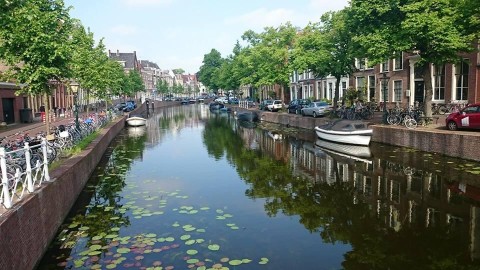 Gee Up Leiden