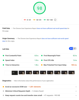 Pagespeed example 98 percent