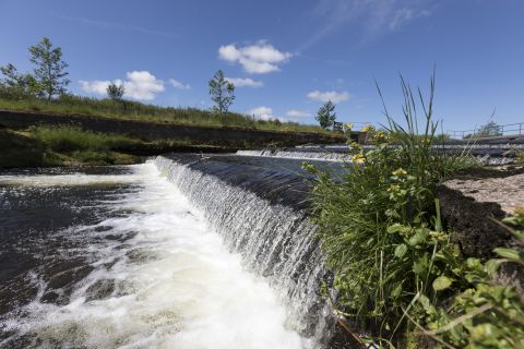 Water Management