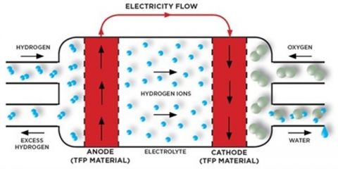 Fuel cells image in text
