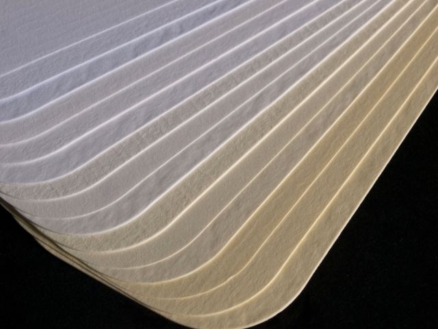 Mill Collection Ambassador shades