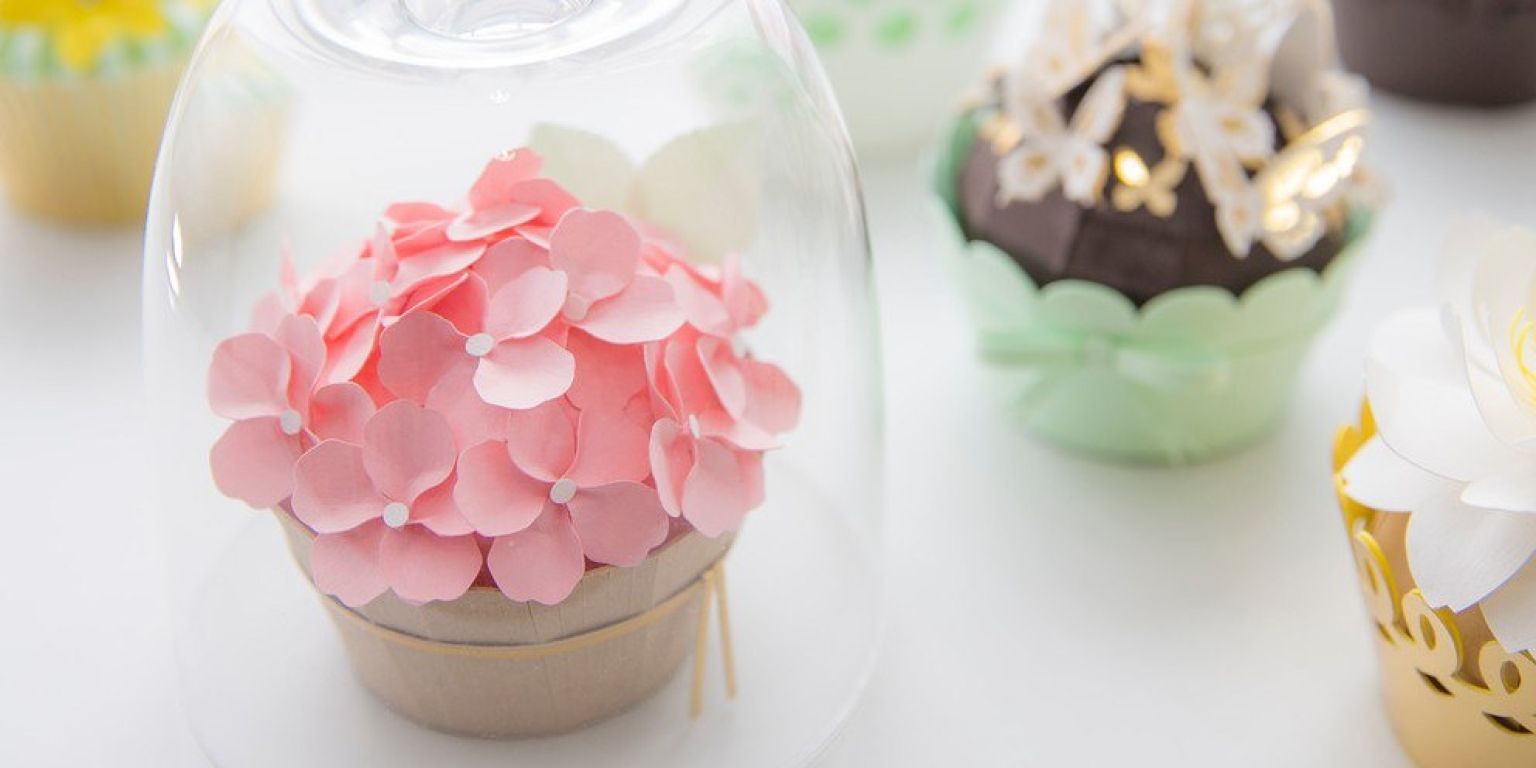 Cupcakes all e1476371344708