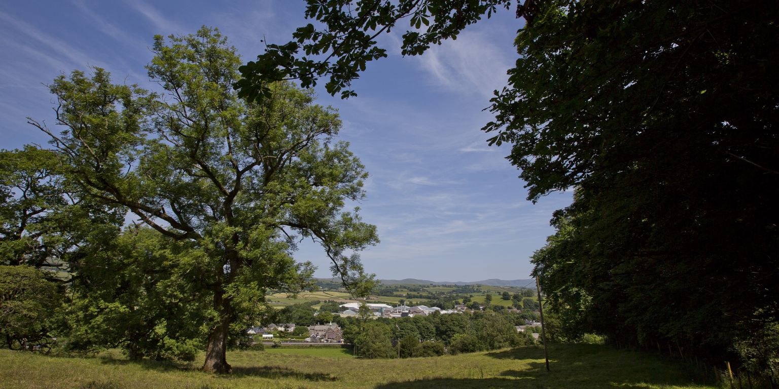 Burneside James Cropper Cumbria countryside