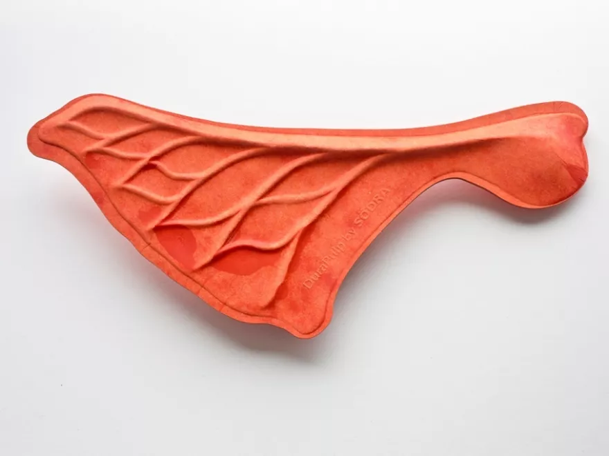 Orange seed pod