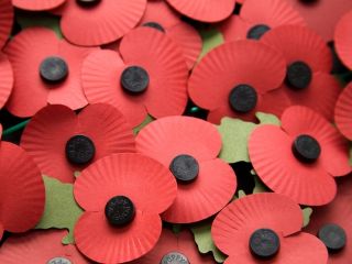 Poppy