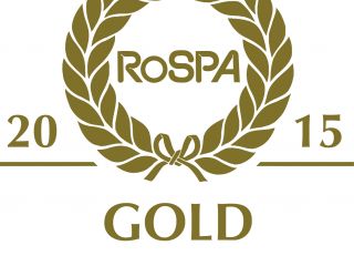 Gold award 2015 2