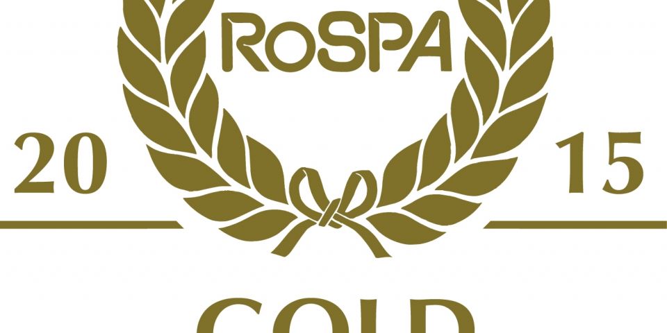 Gold award 2015 2