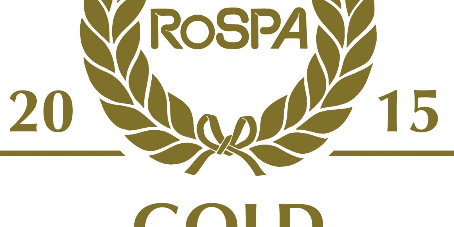 Gold award 2015 2