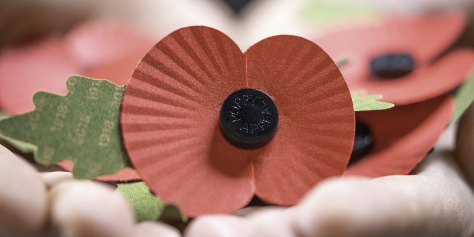 Poppy3
