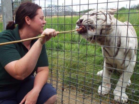 Zoo was warned long before fatal tiger attack