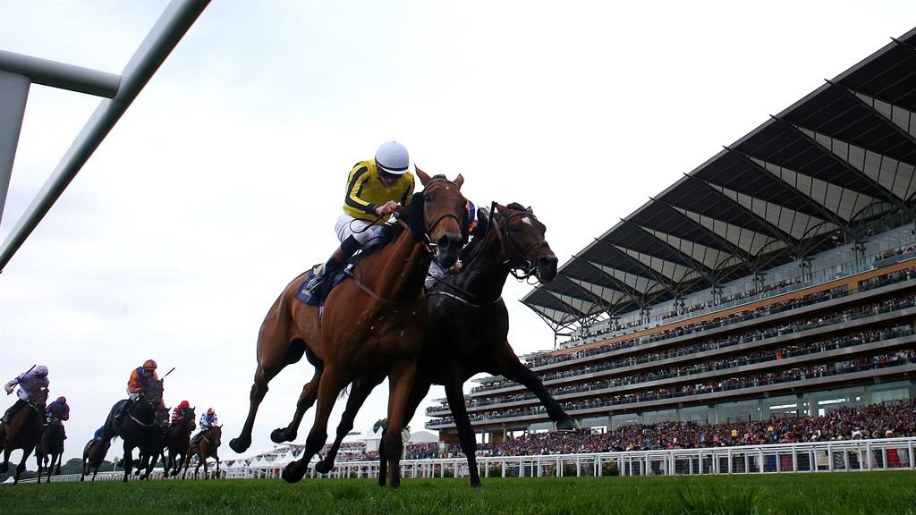 Stradivarius upsets Big Orange at Goodwood