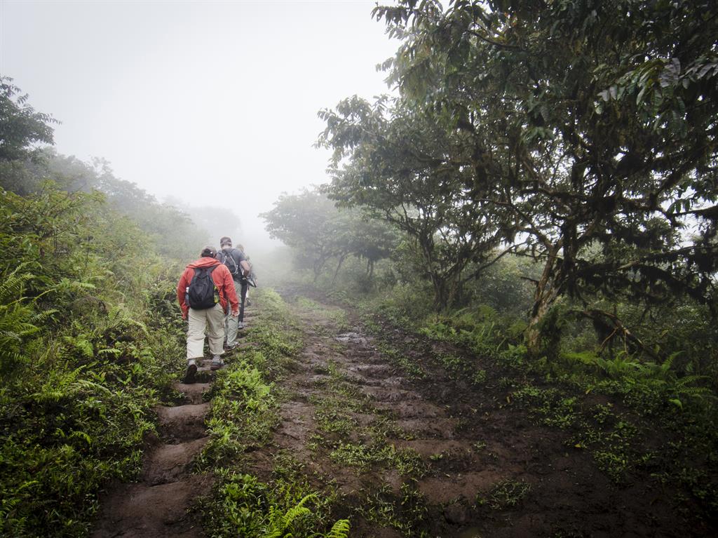 Earthly pursuits: Trekking is the order of the day