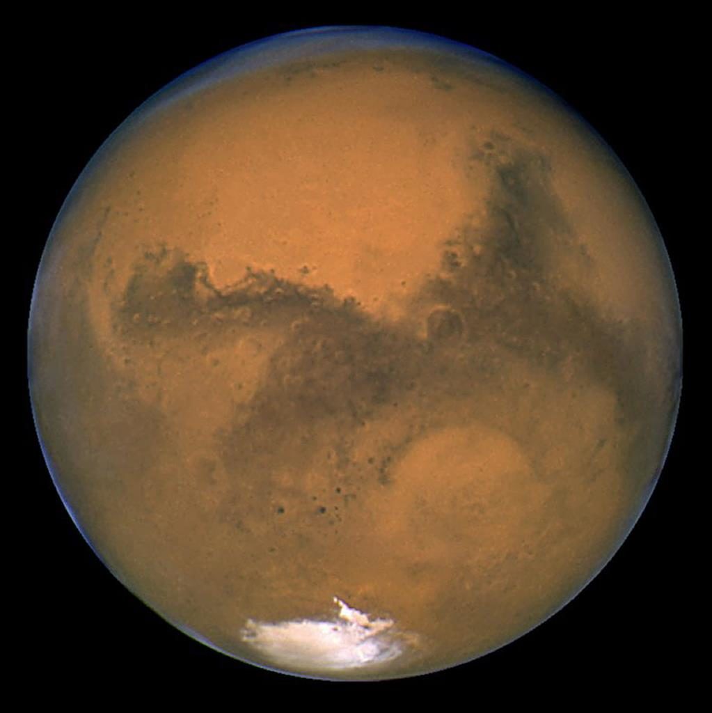 NASA Mars Rover's Images Similar To Trace Fossils: Scientists