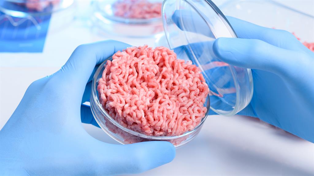 Easy meat: Farmers take animal cells and develop them in a bioreactor