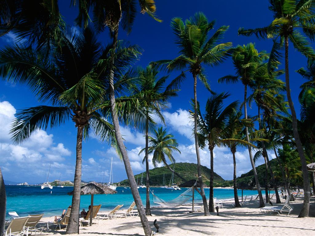 Paradise: Robshaw loves Peter Island (above) and proposed in Paris (below)