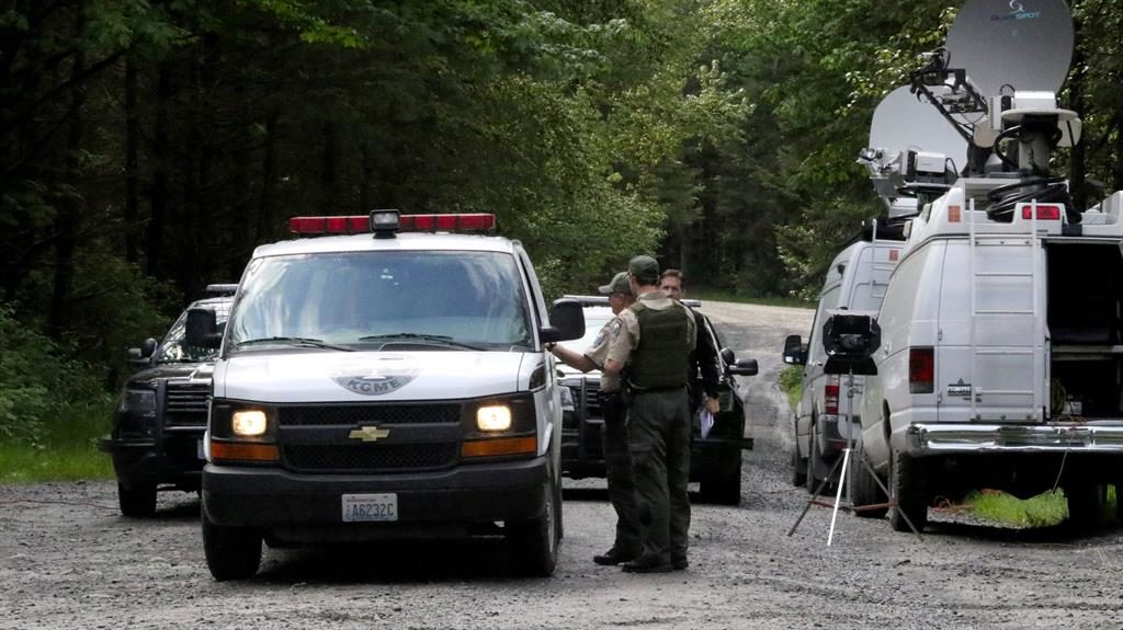 Cougar Kills 1 Mountain Biker, Injures Another in Attack Near Seattle