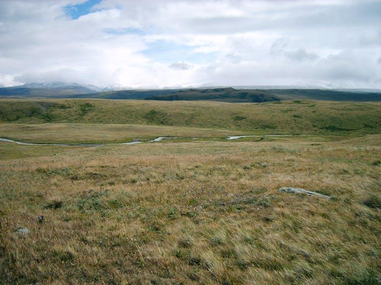 Higher plain: Ukok Plateau, Siberia, is one of the last remnants of the mammoth steppe PICTURES: WIKIPEDIA/SHUTTERSTOCK