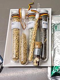 Preservation: Inside the Svalbard Seed Vault
