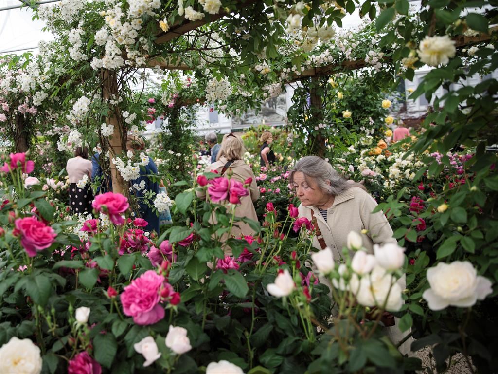 Bloomin' great: The Chelsea Flower Show
