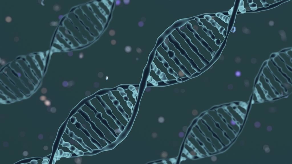 Editing human embryos 'morally permissible'Naija247news Editing human embryos 'morally permissible'Naija247news