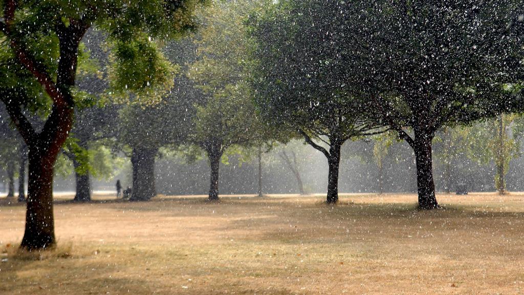Damp squibs: Our summers have been wetter over the last ten years PICTURES: REX