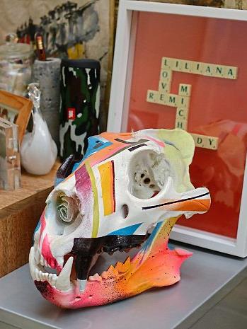 Roar talent: A resin replica lion skull painted by Remi