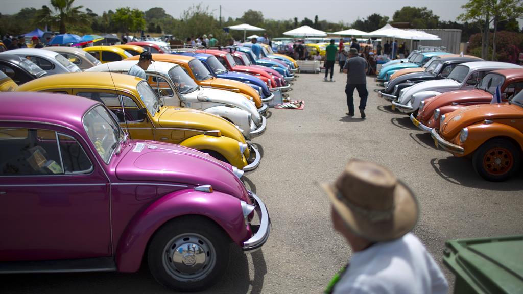 Got the Bug: Beetles are loved by enthusiasts the world over