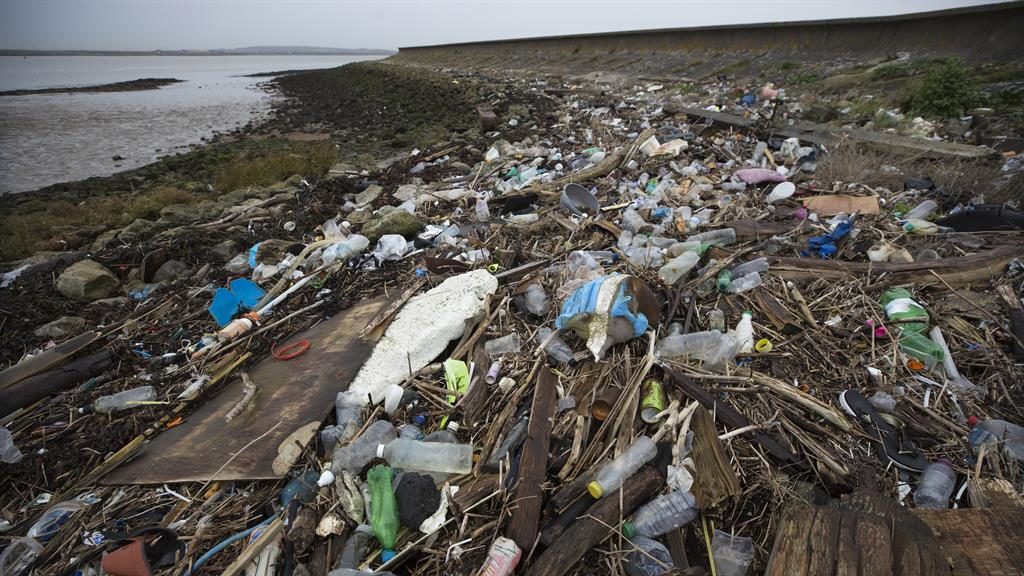 Plastic particles found in every human subject of global study
