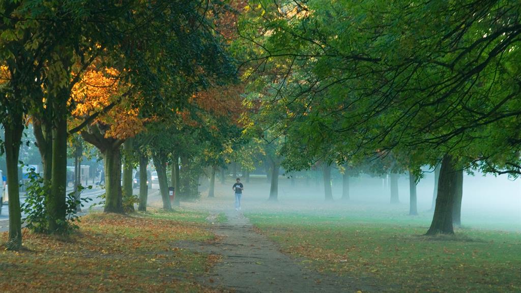 Open space: Wandsworth Common