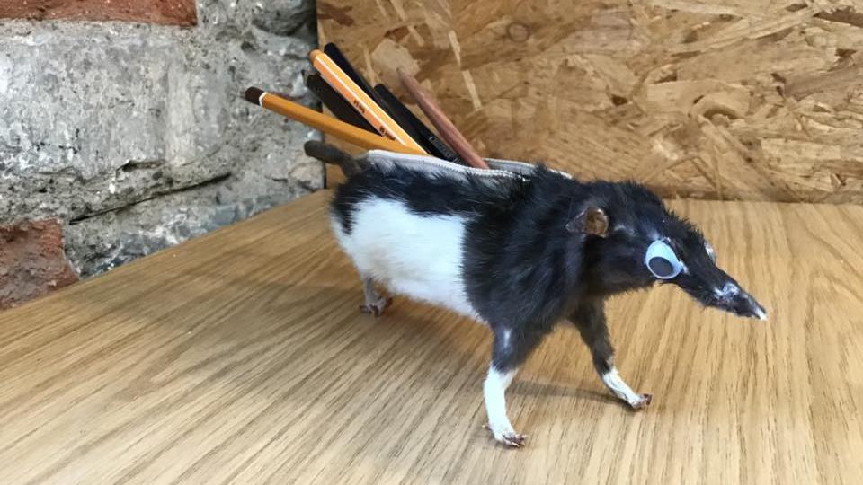Crafty: A pencil case fashioned from a dead rat