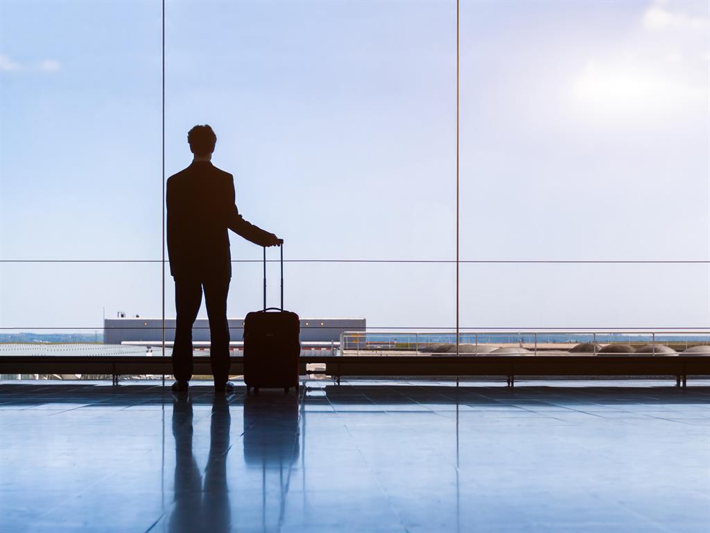 Global: Flying ‘spreads immunity’ PICTURE: ALAMY