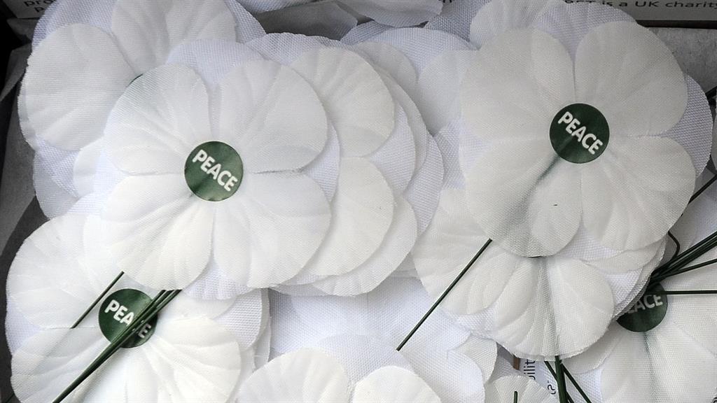 Alternative: By the 1930s, white poppies became popular as a statement against increasing militarisation in Europe PICTURES: REX