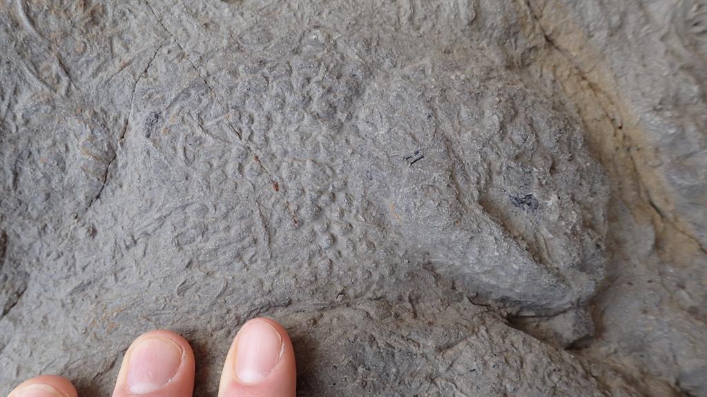 Detailed: A close up of skin impressions from one of the footprints