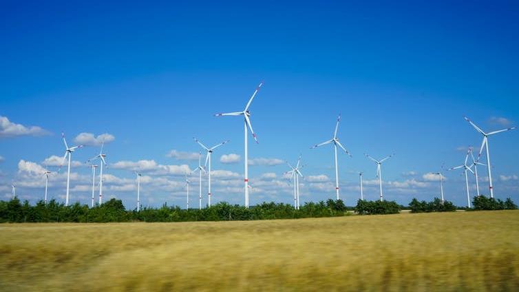 Rural sites: They are often chosen for wind turbines, bringing them into the habitat of robins and other songbirds PICTURE: MARADON 333/SHUTTERSTOCK
