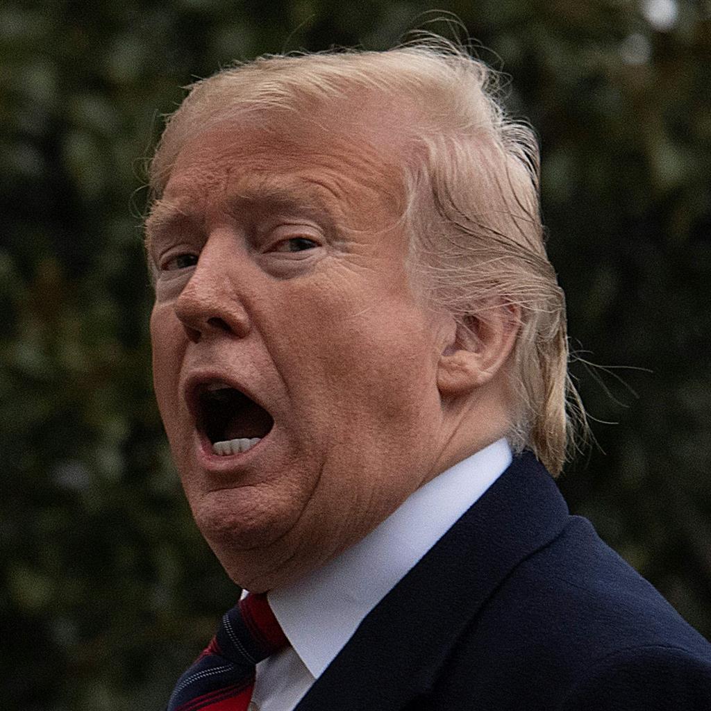 Trump offers temporary protection for undocumented immigrants in exchange for wall