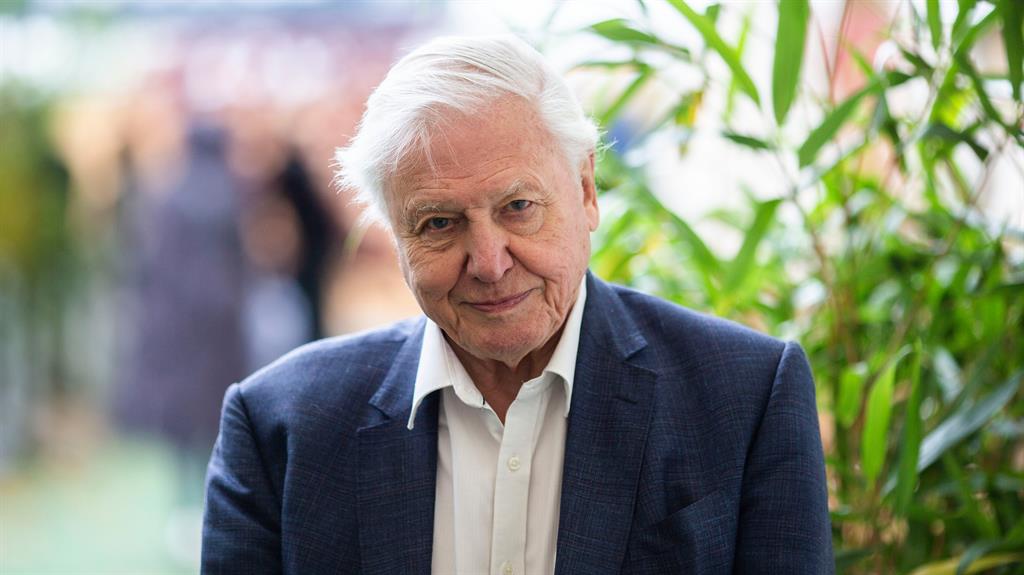 Latest tech: Sir David's new series was filmed in 50 countries over 4 years PICTURES: REX