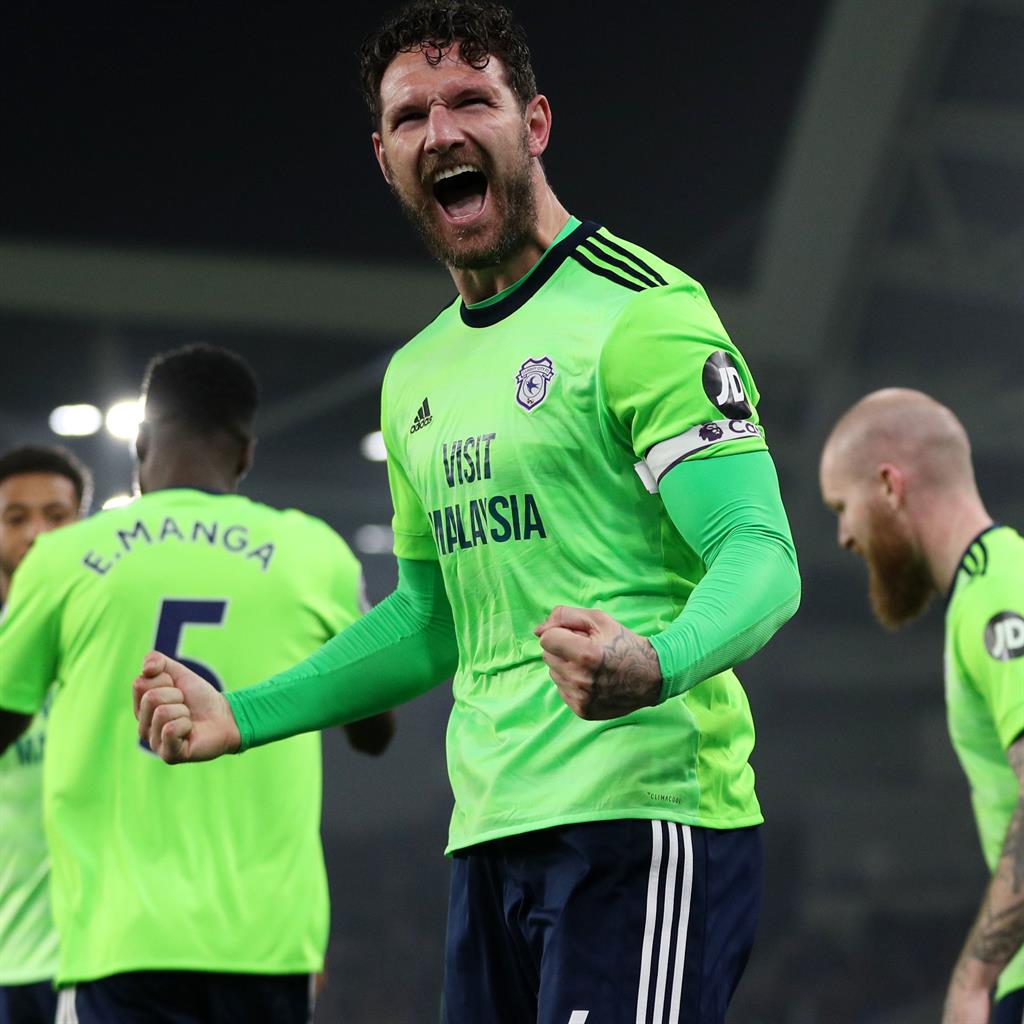 Cardiff City Boost Hopes of Staying in the Top Flight