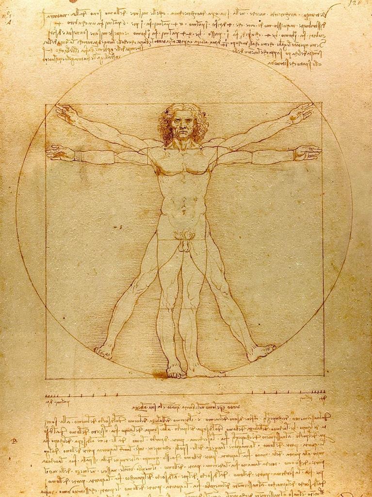 Leonardo da Vinci’s Vitruvian Man PICTURE: LUC VIATOUR/HTTPS://LUCNIX.BE