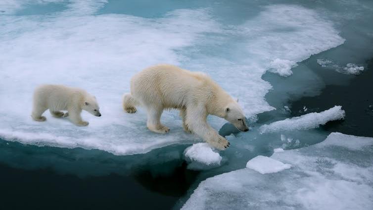 Virtual reality – an ‘empathy machine’ that could help people care more about climate change? PICTURE: FLORIDASTOCK/SHUTTERSTOCK