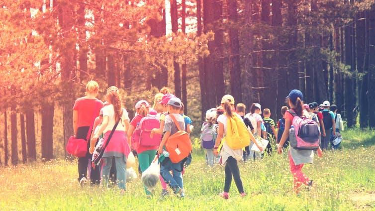 Fresh-air classroom: Teachers are taking pupils into local natural areas to learn curriculum-based subjects PICTURE: SPRINGTIME78/SHUTTERSTOCK
