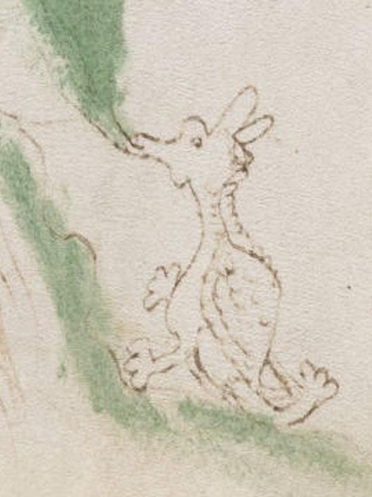 Is this a dragon?