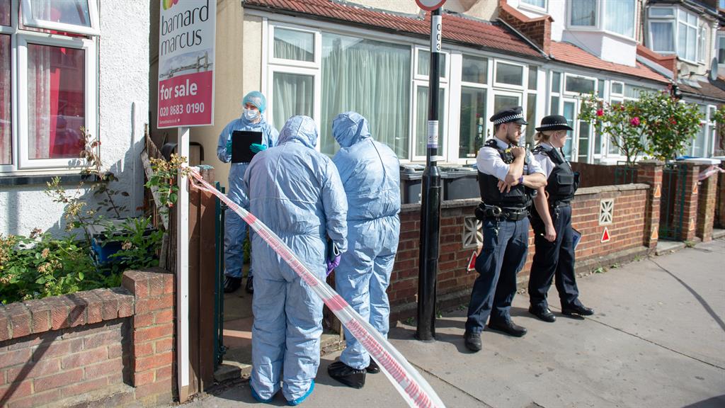 Pregnant woman stabbed to death in London