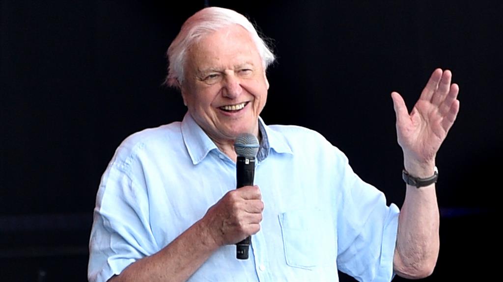 Surprise appearance: Sir David Attenborough PICTURE: GETTY