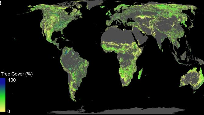 Where the billion hectares of forest could be planted: Excluding desert, farmland and urban areas PICTURE: CROWTHER LAB. AUTHOR PROVIDED
