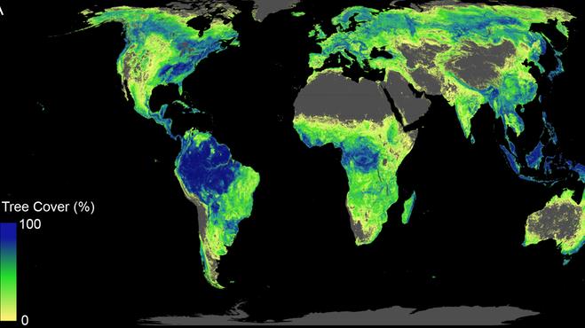 How all of that new forest would look: Alongside what’s already there PICTURE: CROWTHER LAB. AUTHOR PROVIDED