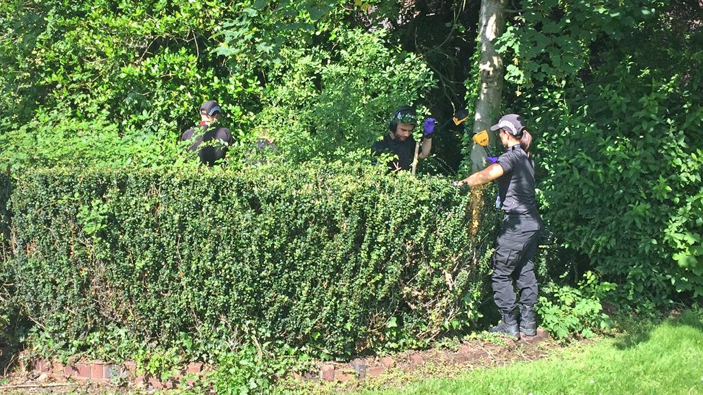 Investigation: Police searching undergrowth around the property after the pensioner's body was found