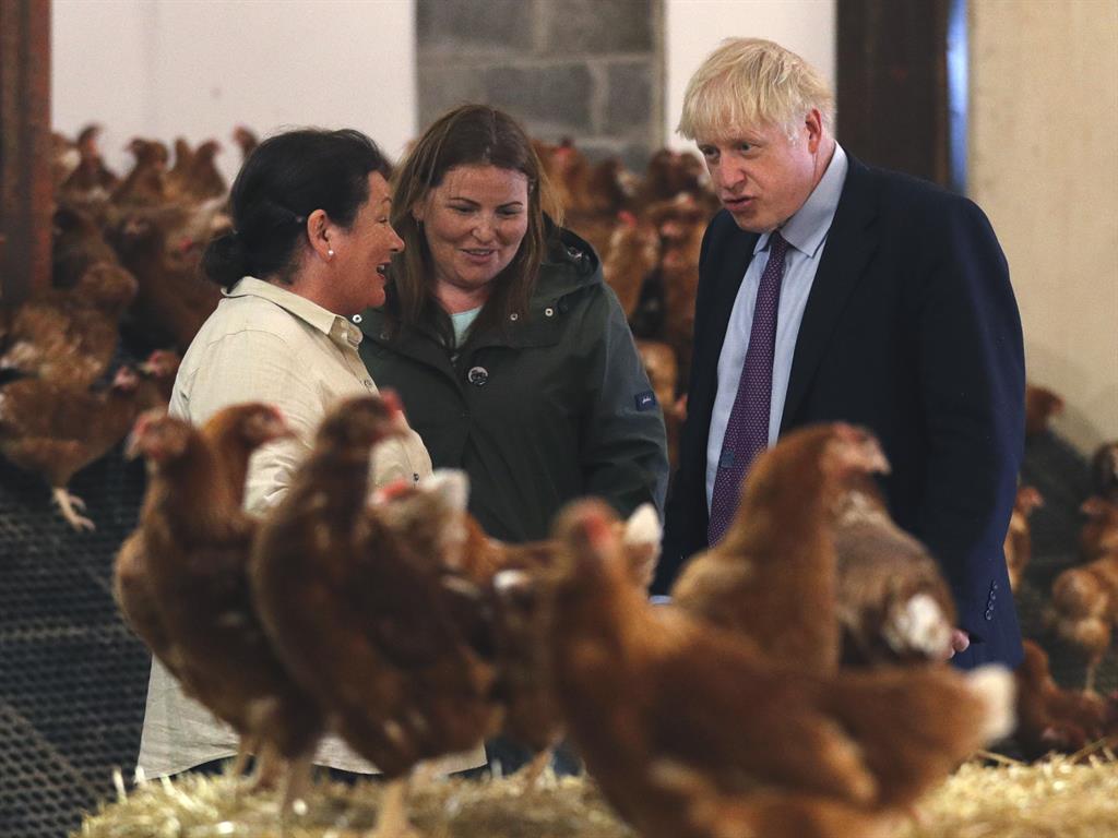 Poultry matters: Boris Johnson inspects chickens during a visit to a farm in St Brides Wentlooge near Newport, south Wales PICTURE: PA