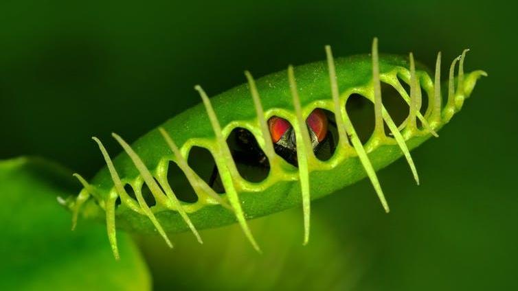 Green machine: Nervous? PICTURE: SHUTTERSTOCK